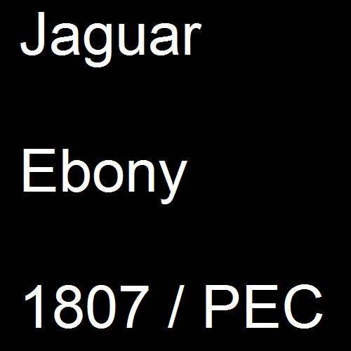 Jaguar, Ebony, 1807 / PEC.